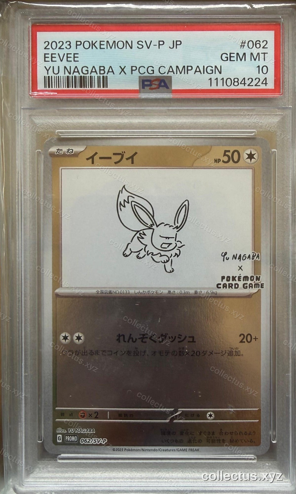 Eevee (Yu Nagaba) - Scarlet & Violet Promo JP 062/SV-P, PSA 10